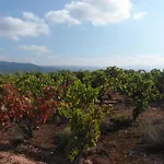 La Puerta Del Valle 2